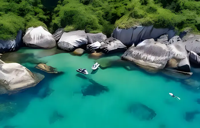 Foto: Montão de Trigo/SP - Ilhas 1