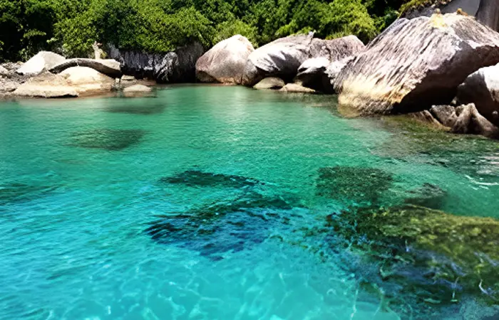 Foto: Montão de Trigo/SP - Ilhas 3