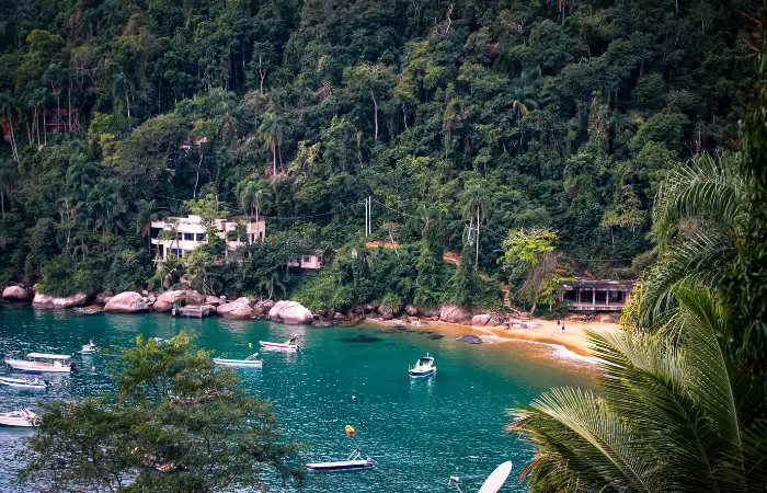 Natação em águas abertas em Ilha Grande RJ