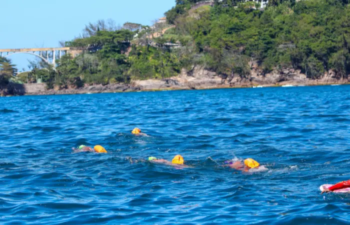 Natação em águas abertas - Rio de Janeiro